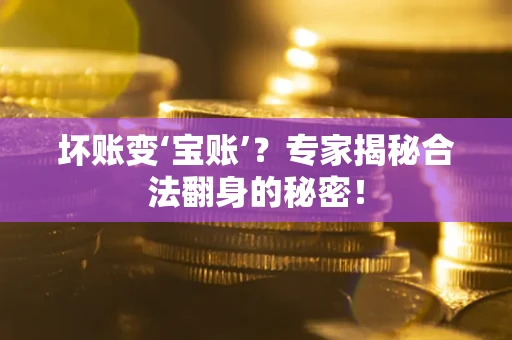 北京坏账变‘宝账’？专家揭秘合法翻身的秘密！