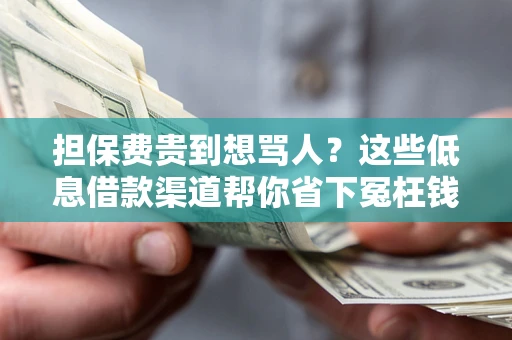 北京担保费贵到想骂人？这些低息借款渠道帮你省下冤枉钱