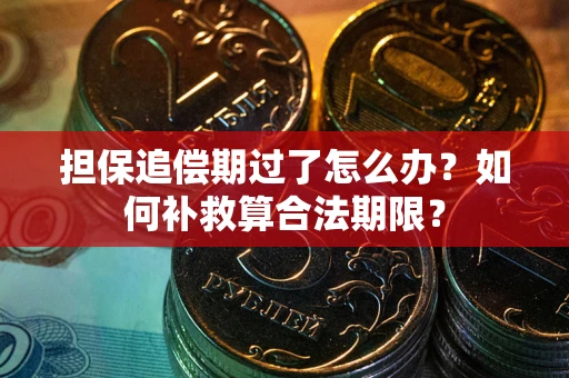 北京担保追偿期过了怎么办？如何补救算合法期限？
