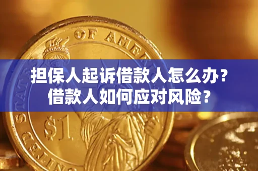 北京担保人起诉借款人怎么办？借款人如何应对风险？